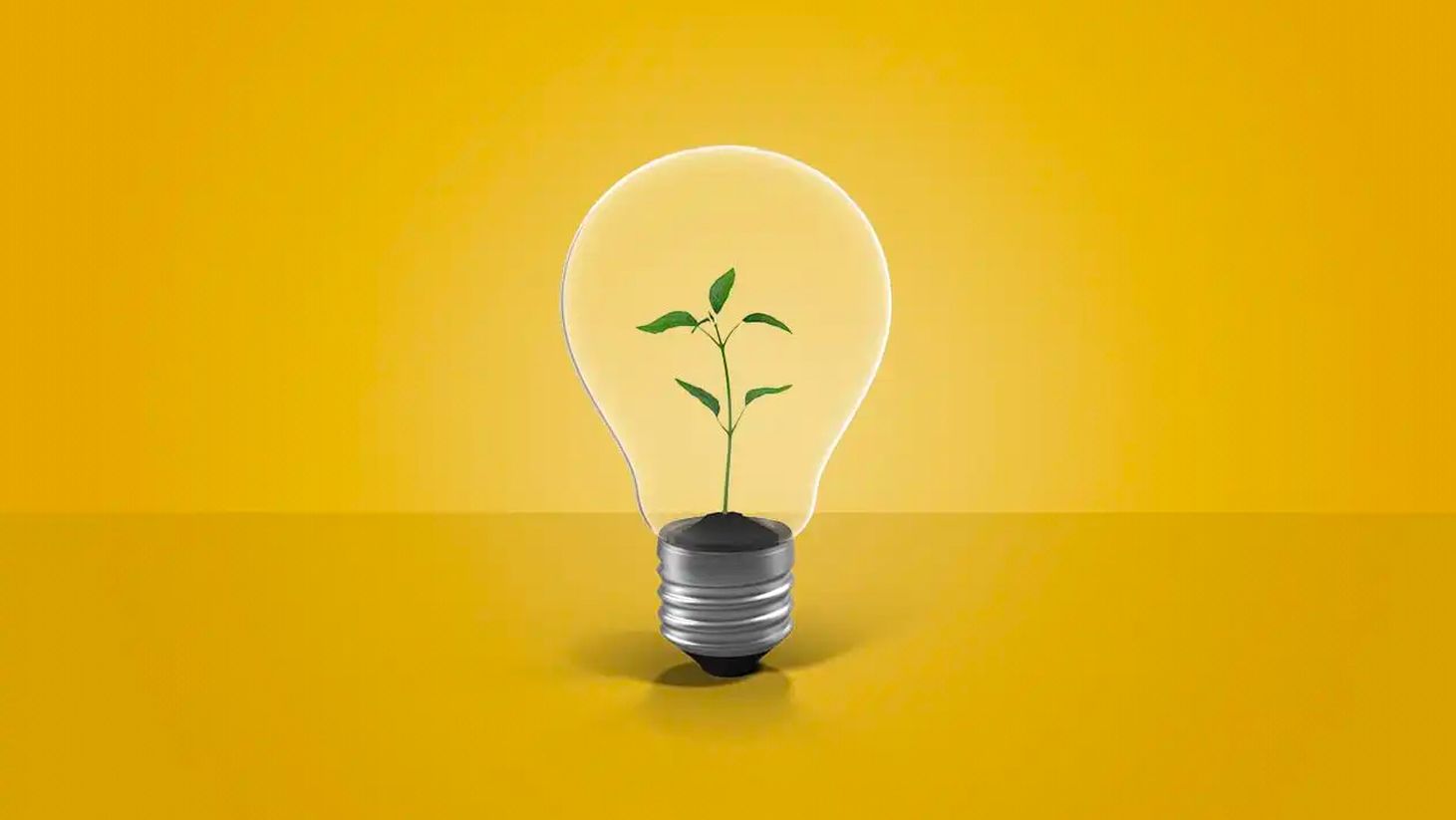 LD | Stratégie numérique - Analyser les données pour en tirer des enseignements